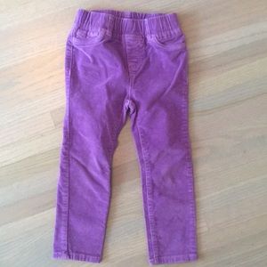 Gap pull on skinny leg purple cords